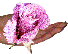rose scintillante au creux de la main